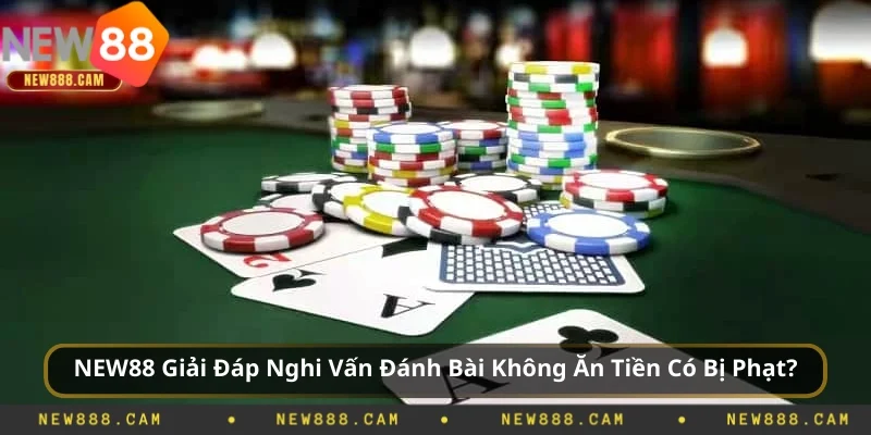 Giải Đáp Đánh Bài Không Ăn Tiền Có Bị Phạt?