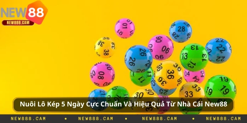 Nuôi Lô Kép 5 Ngày Cực Chuẩn Hiệu Quả Từ New88